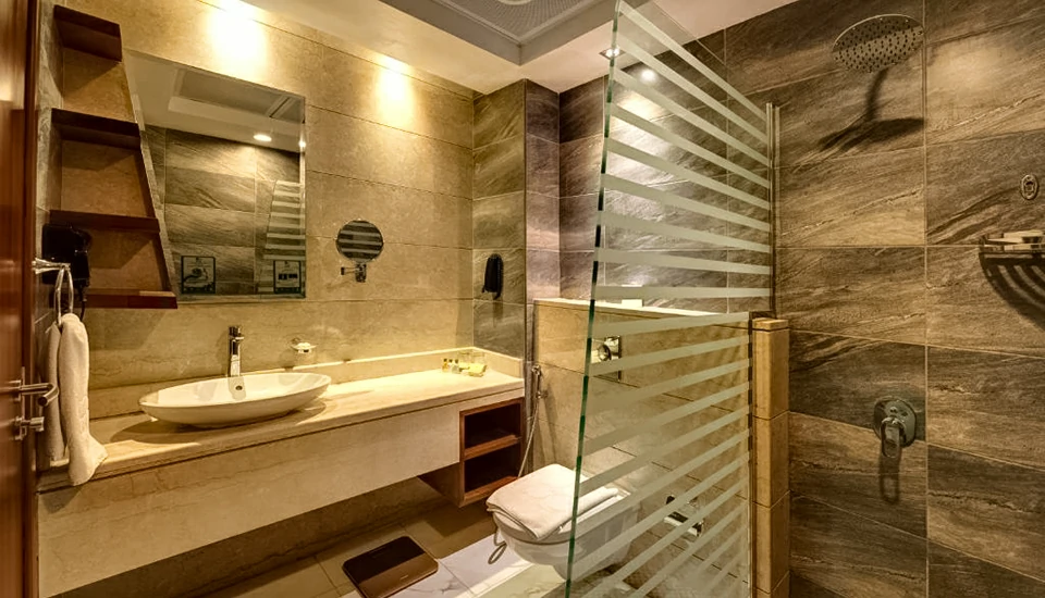 هتل رز پارک البرشا دبی